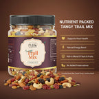 Tangy Trail Mix 250g Chatpata Nuts Seeds & Dried Fruits Mix