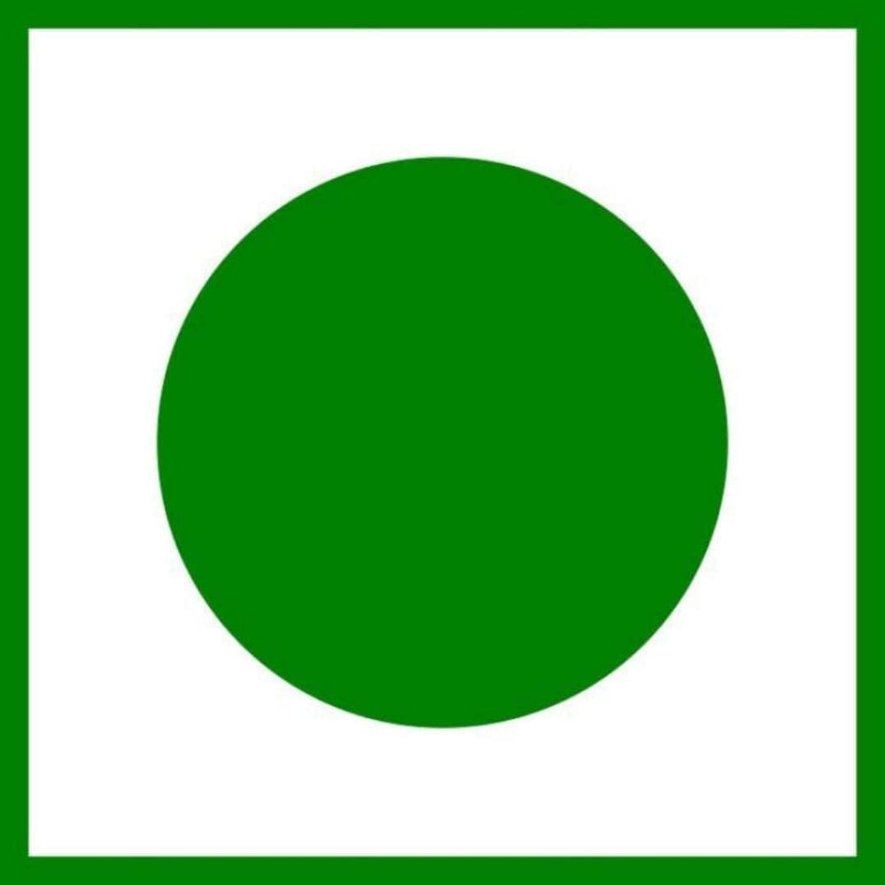 LILA DRY FRUITS 4 in 1 Seeds Mix | Raw Mixed Seeds Combo