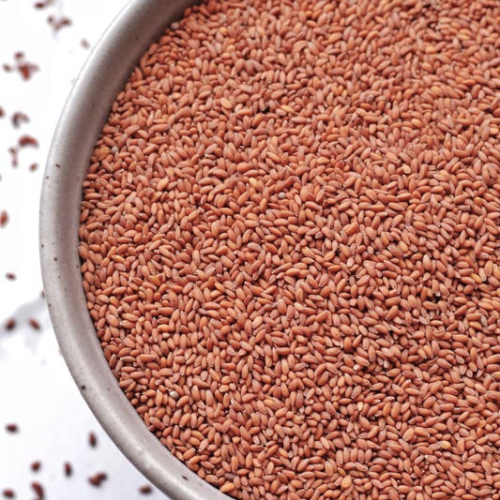 Halim Seeds